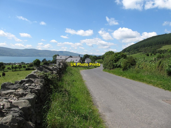 Photo 6"x4" View west along Killowen Old Road Rostrevor c2014