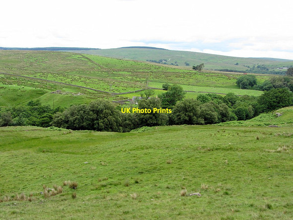 Photo 6"x4" Grassland south of Matthew Bridge Greystead c2014