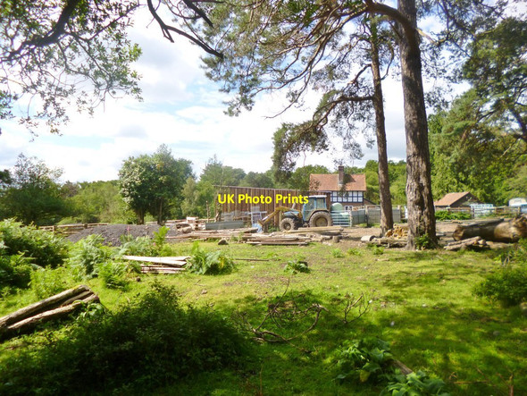 Photo 6"x4" Coppice of Linwood Cottage Fritham c2014