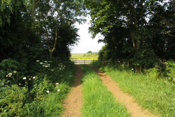 Photo 6"x4" Gate on the bridleway Woodstock\/SP4416 c2014