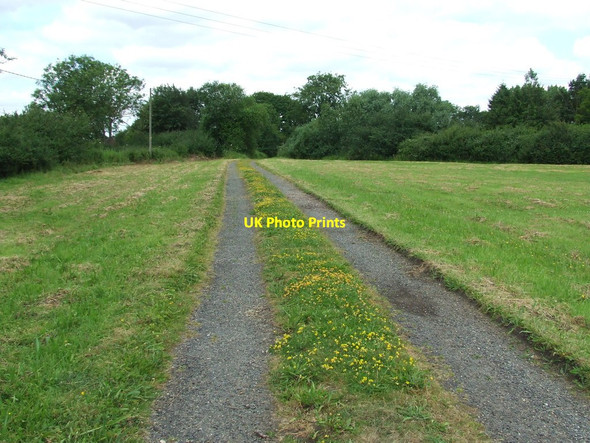 Photo 6"x4" Leading To Home Farm Framlingham c2014