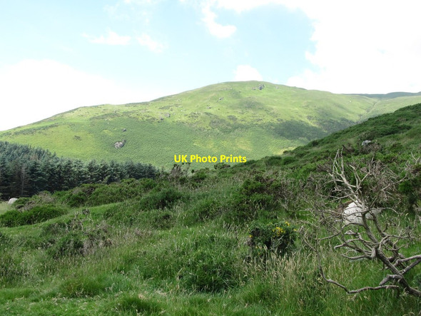 Photo 6"x4" View north-westwards towards Slievemeen Rostrevor c2014