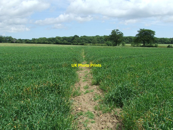 Photo 6"x4" Clear Path Little Glemham c2014