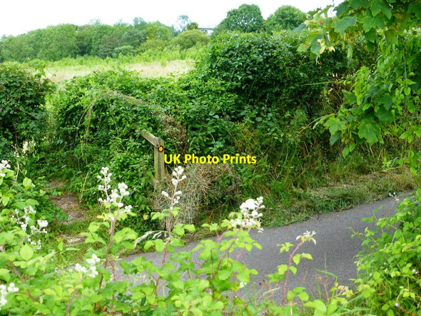 Photo 6"x4" Footpath crosses the road to Manor Farm Onslow Village c2014