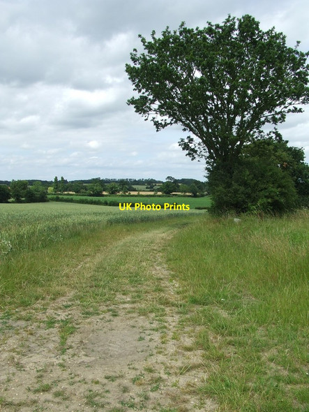 Photo 6"x4" To Great Glemham Great Glemham c2014