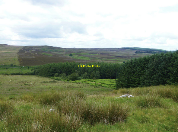 Photo 6"x4" Looking west across Millstone Cleugh Glantlees c2014