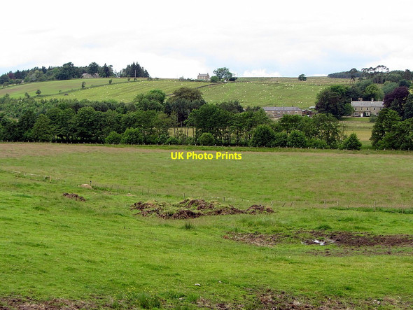 Photo 6"x4" Fields near Low Carriteth Farm Lanehead\/NY7985 c2014