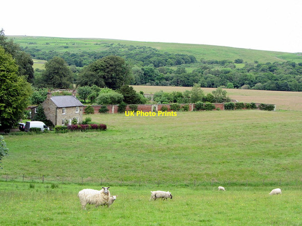 Photo 6"x4" Garden House & walled garden at Hesleyside Mill Charlton\/NY8085 c2014