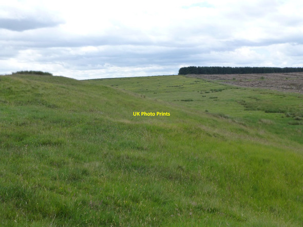 Photo 6"x4" View south from  Edlingham c2014