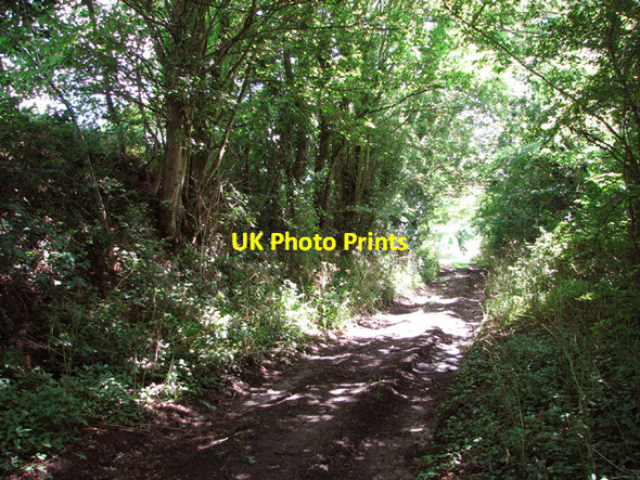 Photo 6"x4" Blyford Lane Holton\/TM4077 c2014