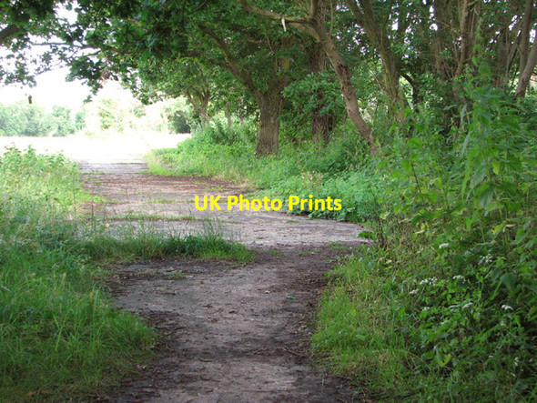 Photo 6"x4" Footpath to the B1124 (Beccles Road) Holton\/TM4077 c2014