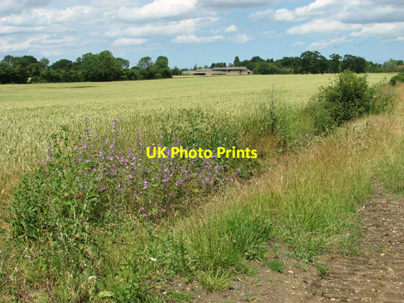 Photo 6"x4" Wheat crop field south of Moat Farm Broadway\/TM3978 c2014