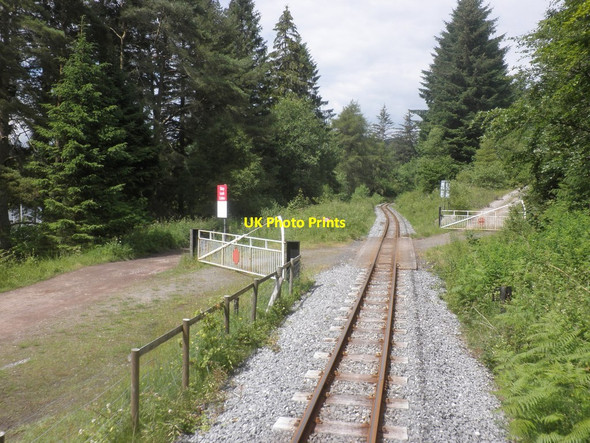 Photo 6"x4" Level Crossing, Taf Fechan Forest Pontsticill c2014