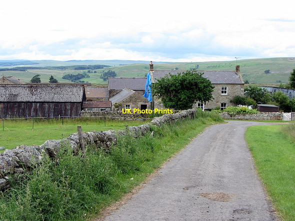 Photo 6"x4" Brieredge Farm Charlton\/NY8085 c2014