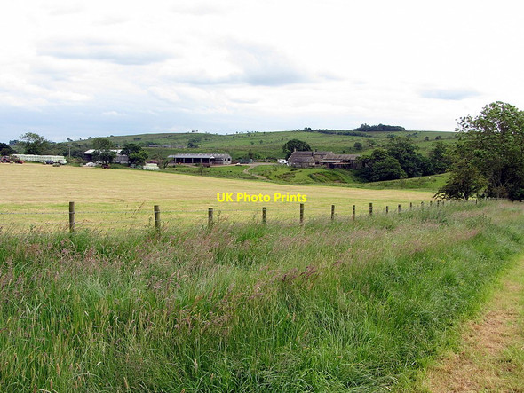 Photo 6"x4" Silage making near Shitlington Hall Bellingham\/NY8383 c2014