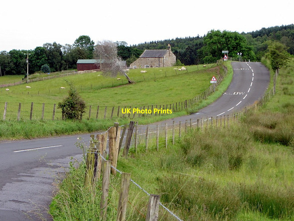 Photo 6"x4" Road near Bankhead Wark\/NY8677 c2014