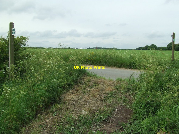Photo 6"x4" Crossing The Road Waldringfield Heath c2014
