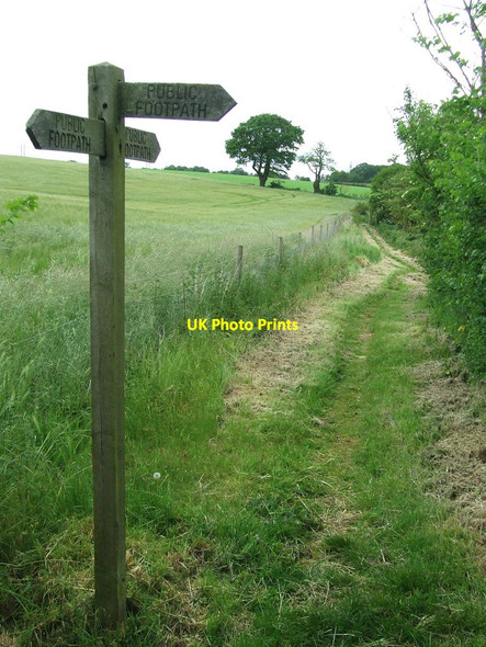 Photo 6"x4" Footpath Junction Waldringfield Heath c2014