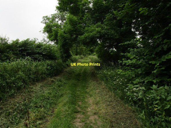 Photo 6"x4" Green Lane Richmond\/NZ1701 c2014