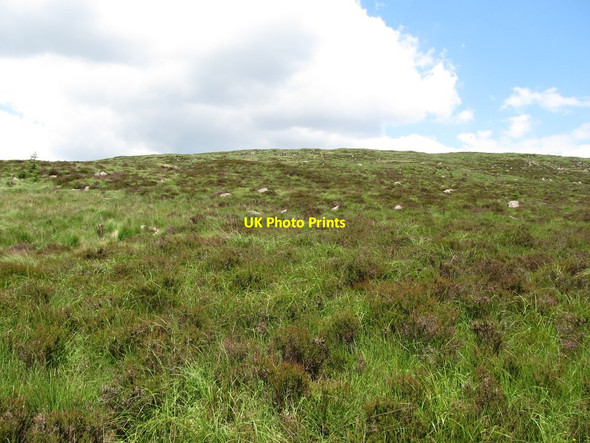 Photo 6"x4" The southern slopes of Slievemeel Rostrevor c2014