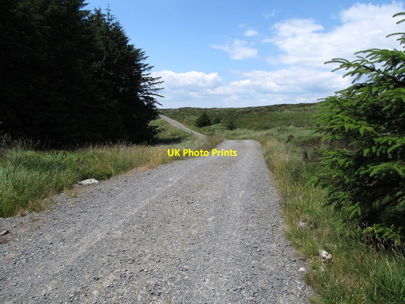 Photo 6"x4" Main forestry track on the col between the Cassy Valley and the Kilbroney Valley Rostrevor c2014