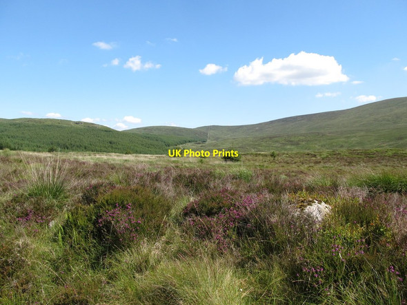 Photo 6"x4" Blanket bog on Slieveanowen Rostrevor c2014