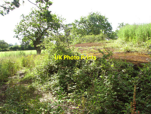 Photo 6"x4" Old fuel store used by the RAF Topcroft Street c2014
