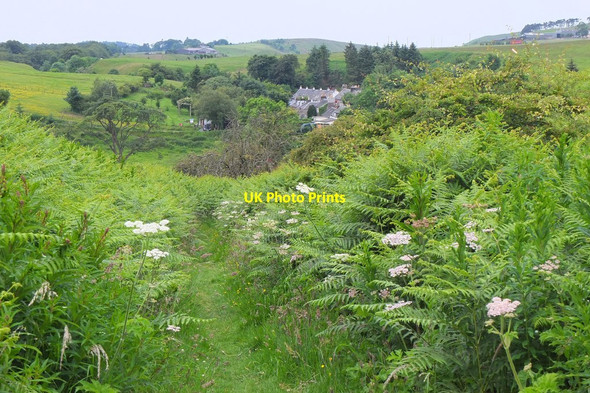 Photo 6"x4" Path to Carlops Carlops c2014