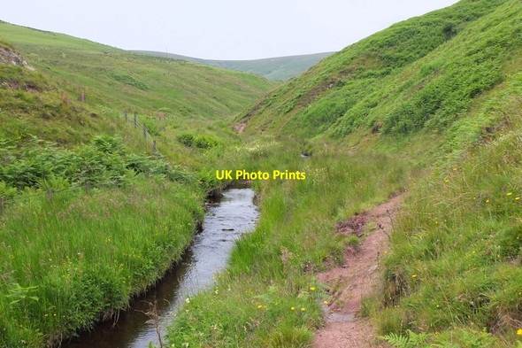 Photo 6"x4" Path alongside the River North Esk Carlops c2014