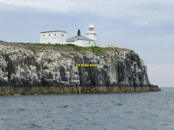 Photo 6"x4" The lighthouse on Inner Farne Seahouses c2014
