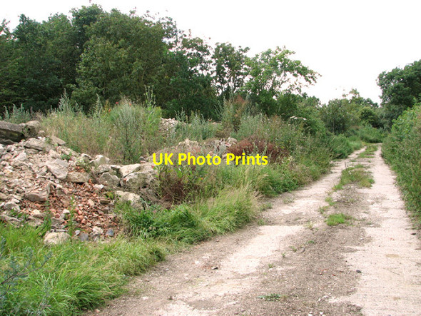 Photo 6"x4" Footpath to Barondale Lane Topcroft Street c2014