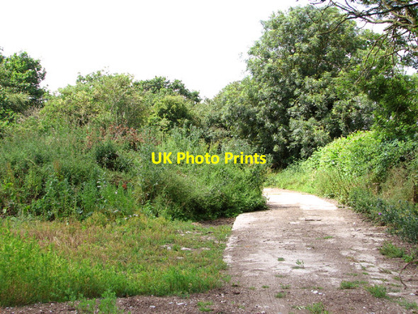Photo 6"x4" Path past the old sewage works Topcroft Street c2014