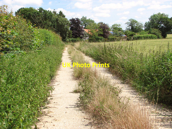 Photo 6"x4" Path to Barford Road Topcroft Street c2014