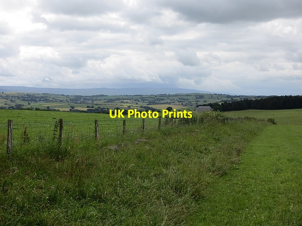 Photo 6"x4" Fields beside High Stand Lockhills c2014