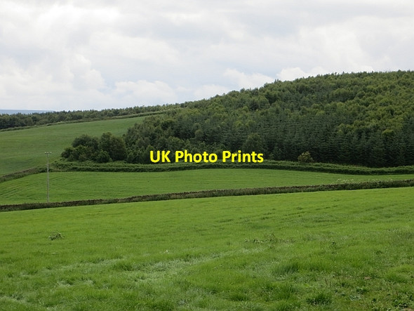 Photo 6"x4" Hill Rigg Aiketgate c2014