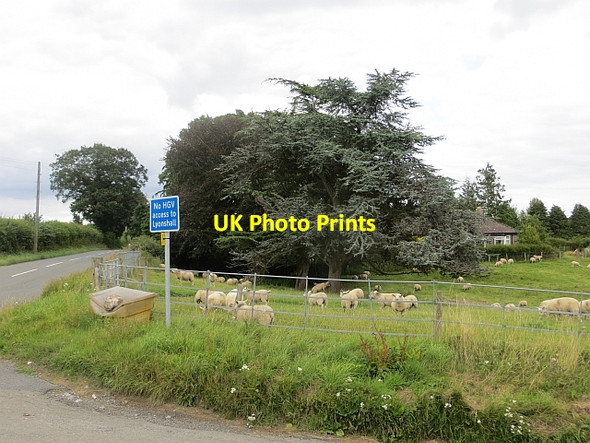 Photo 6"x4" Crossroads, Rushock Kington\/SO2956 c2013