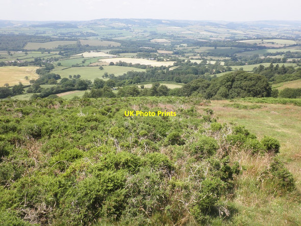 Photo 6"x4" View towards the Brendon Hills Triscombe c2014