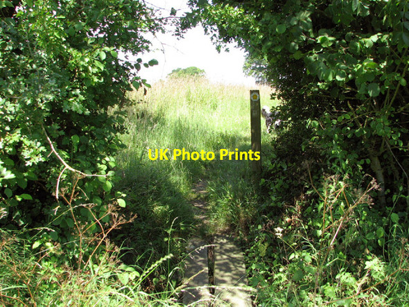 Photo 6"x4" Plank bridge over a ditch Bustard's Green c2014