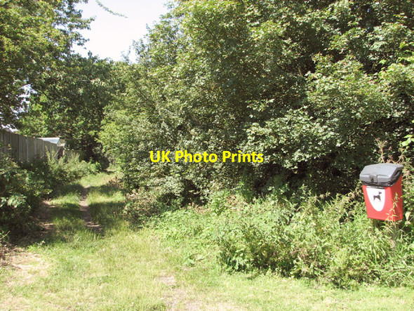 Photo 6"x4" Footpath to Aslacton Wacton\/TM1791 c2014