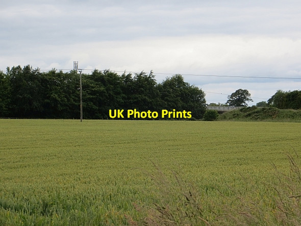 Photo 6"x4" Wheat near Intack Wreay\/NY4348 c2014