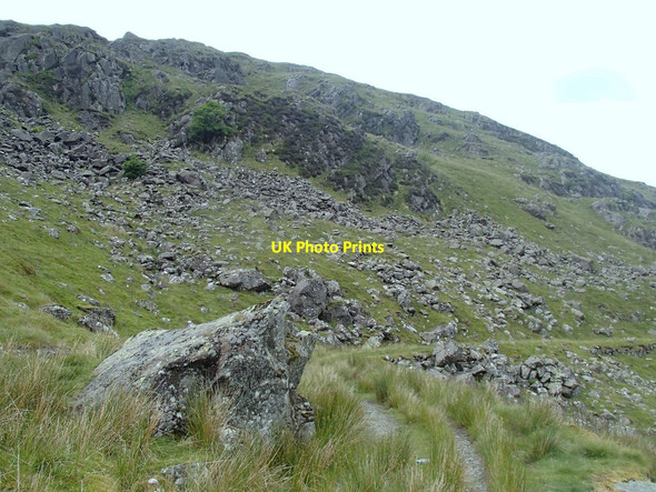 Photo 6"x4" Track below Moel Dyrnogydd Tal-y-waenydd c2014