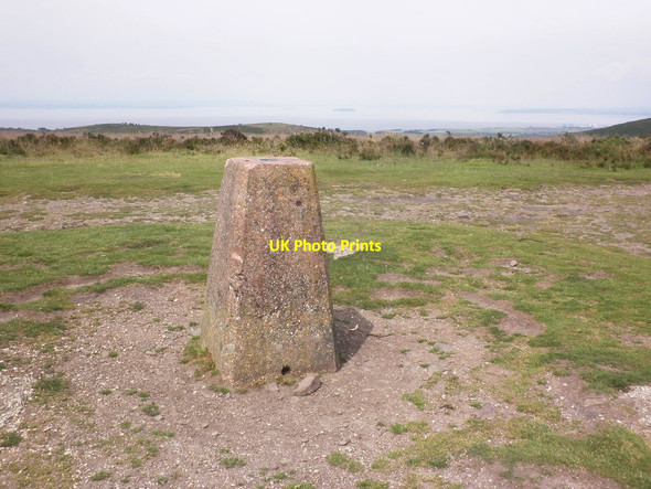 Photo 6"x4" Trig point on Black Hill Crowcombe c2014