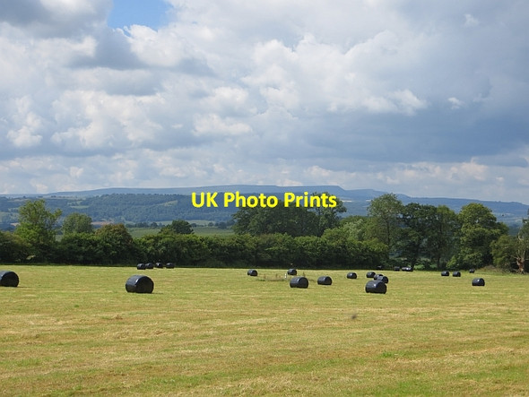 Photo 6"x4" Round bale silage, Woonton Almeley c2014