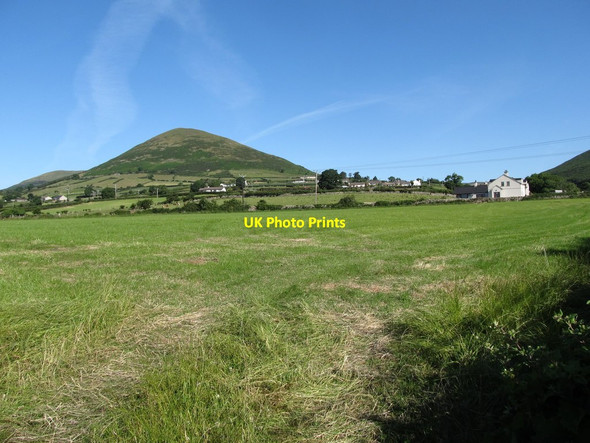 Photo 6"x4" Harvested hayfield on the west side of Kilfeaghan Road Greencastle\/J2411 c2014