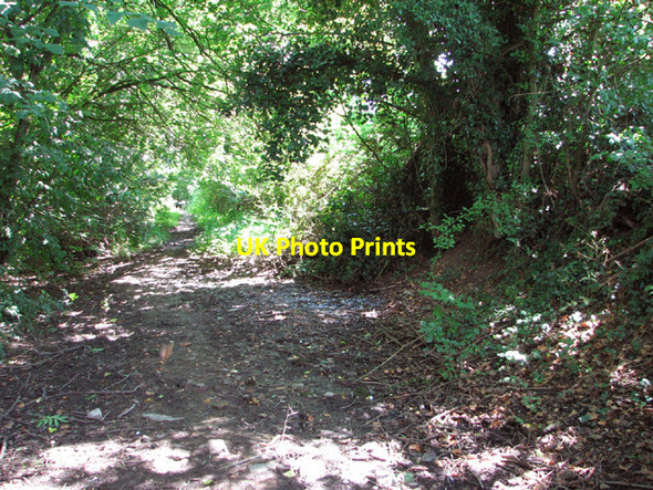 Photo 6"x4" View along Slough Lane Pristow Green c2014