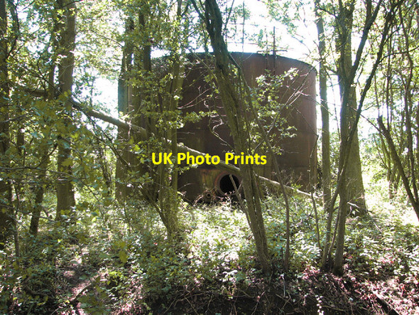 Photo 6"x4" Big tank in a copse beside Slough Lane Pristow Green c2014