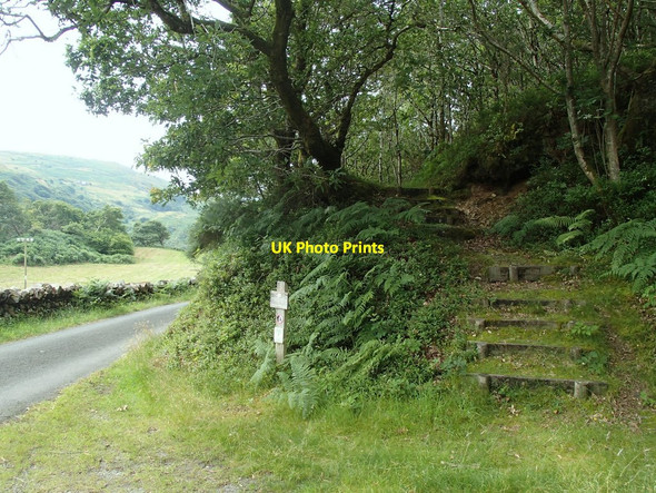 Photo 6"x4" Woodland footpath by the lane south of Bryn Bwbach Bryn Bwbach c2014