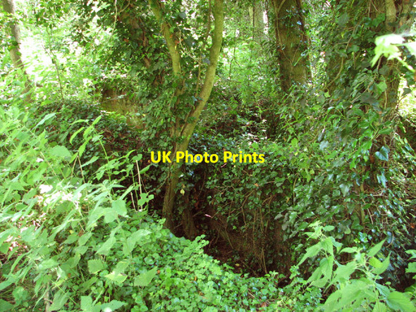 Photo 6"x4" RAF Tibenham - Communal site 1 Sneath Common c2014