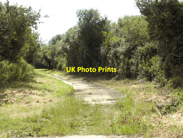Photo 6"x4" Old concreted track Sneath Common c2014