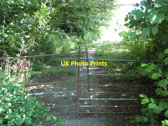 Photo 6"x4" Gate on path linking Plantation Road and Woodrow Lane Sneath Common c2014